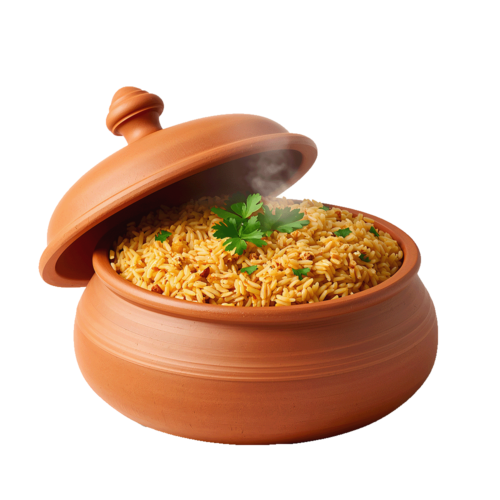 Biryani PNG