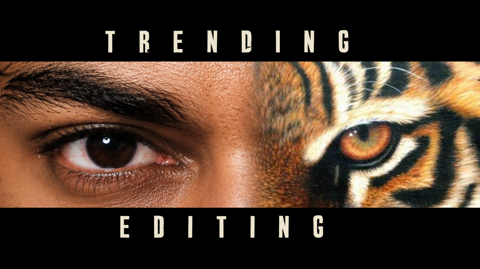 Portrait Photo Editing: Simple 167